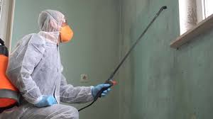 Best Industrial Mold Remediation  in Pierson, FL